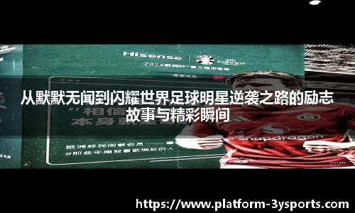 三亿体育官网客服